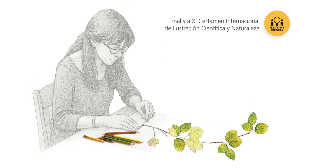 boceto web ilustradora_II_